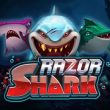 Razor Shark logo of the game.