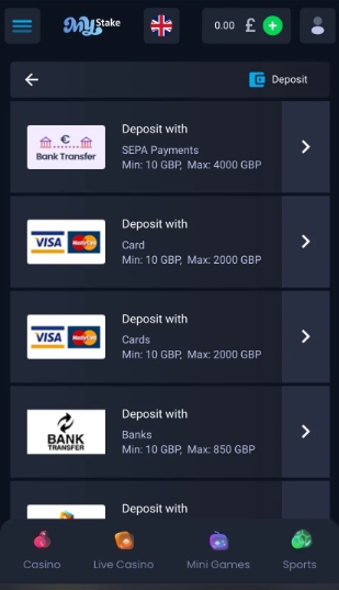 Mystake app payment methods.